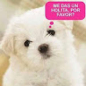 Meet your Posher, Claudia